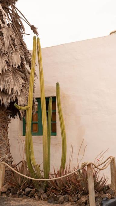 הוילה טגיסי Casa Munique מראה חיצוני תמונה