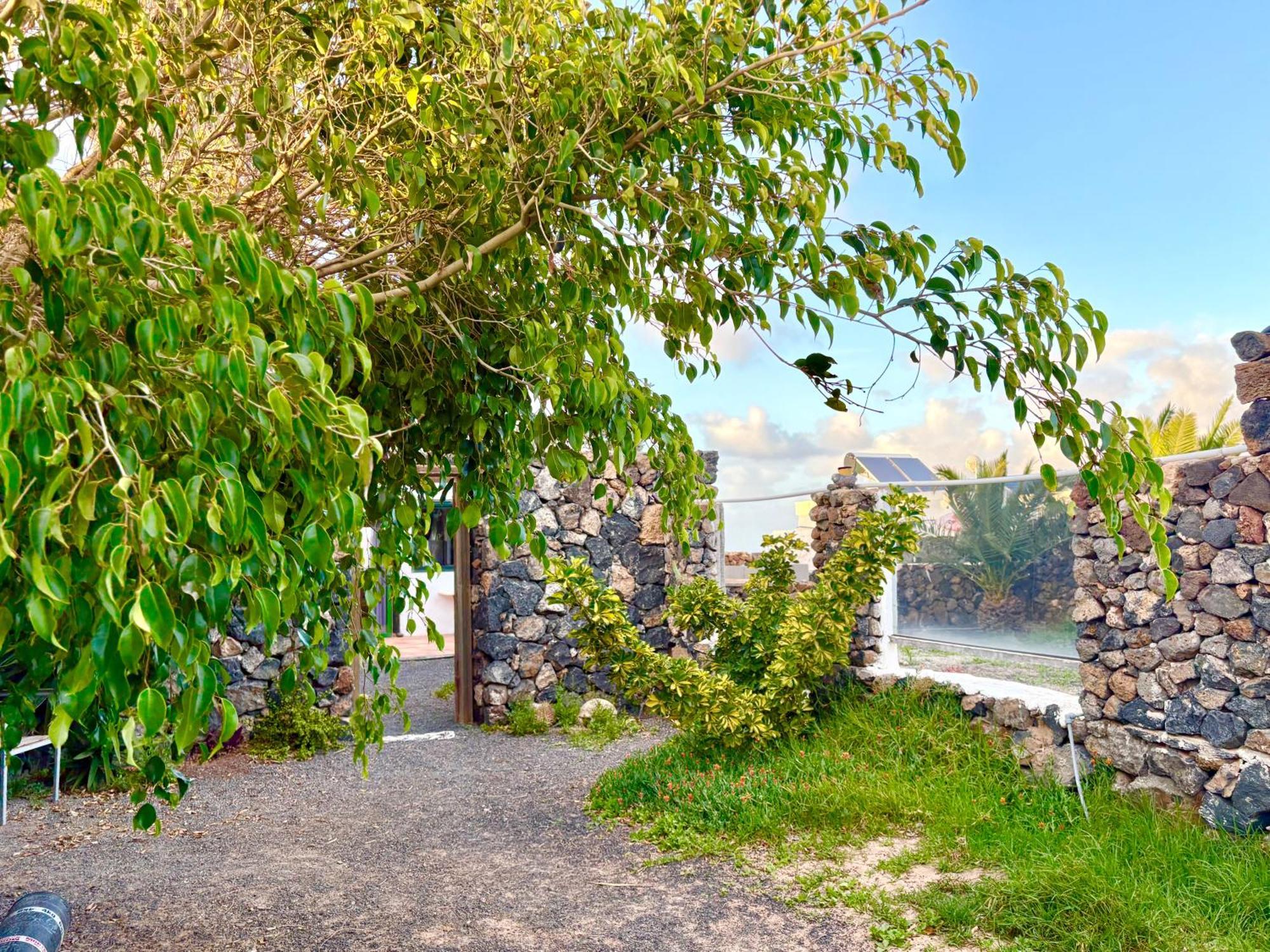 הוילה טגיסי Casa Munique מראה חיצוני תמונה